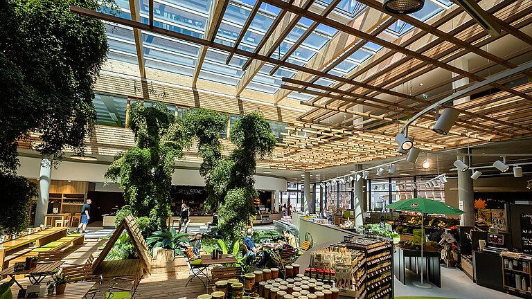 Innenbereich des Naturkostladens Byodo in Mühldorf mit Pflanzen, Tageslicht und Holz-Elementen.