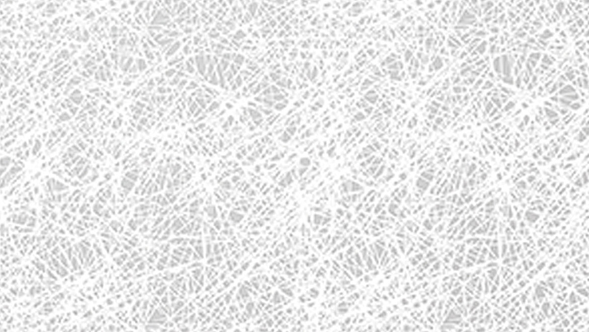 Matten-Struktur Abbildung der Matten-Struktur | insights by LAMILUX