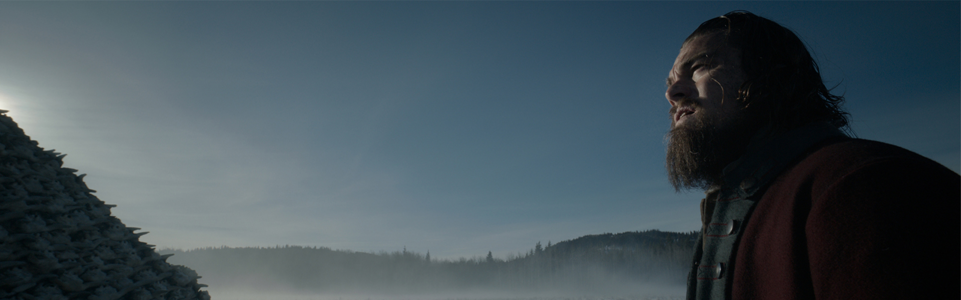 Leonardo DiCaprio in The Revenant